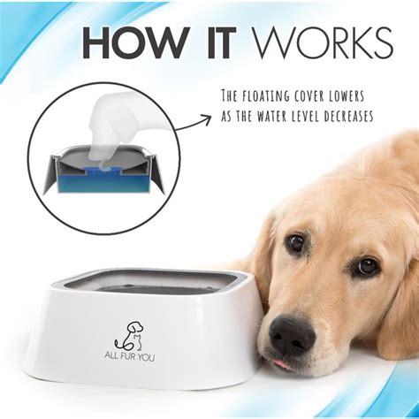 anti splash dog water bowl.